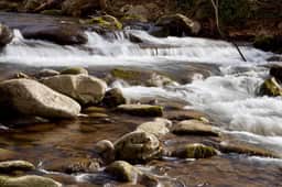 Down by the Creekside - Image 2