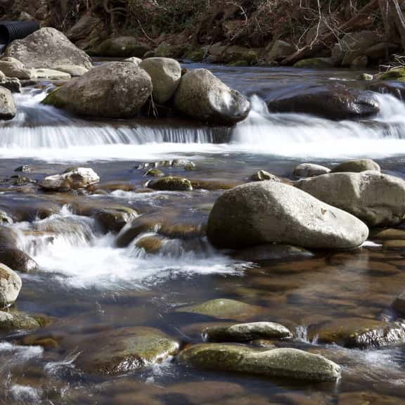 Down by the Creekside - Image 1